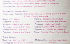 25 Examples Of Perfect Handwriting That ll Make You Green With Envy