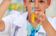 35 Magic School Bus Science Experiments And Activities