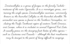 8 Fancy Cursive Letters JPG Vector EPS AI Illustrator Free