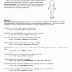 Anatomical Terms Worksheet Answers Elegant Anatomicaltermsworksheetc