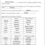 Biological Classification Worksheet Taxonomy Worksheet