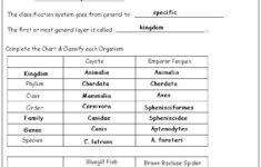 Biological Classification Worksheet Taxonomy Worksheet
