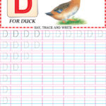 Capital Letter D Practice Worksheet Download Free Capital Letter D