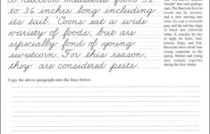 Cursive Worksheets For 5th Grade Thekidsworksheet