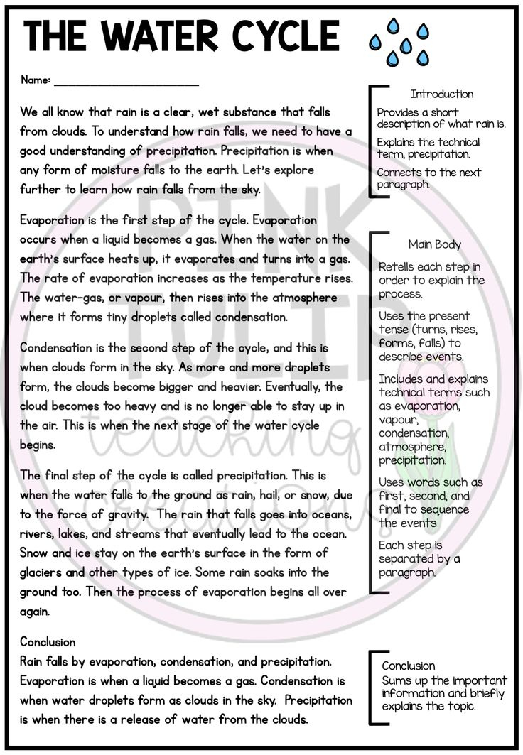 Explanation Text Writing Worksheet Pack No Prep Lesson Ideas 
