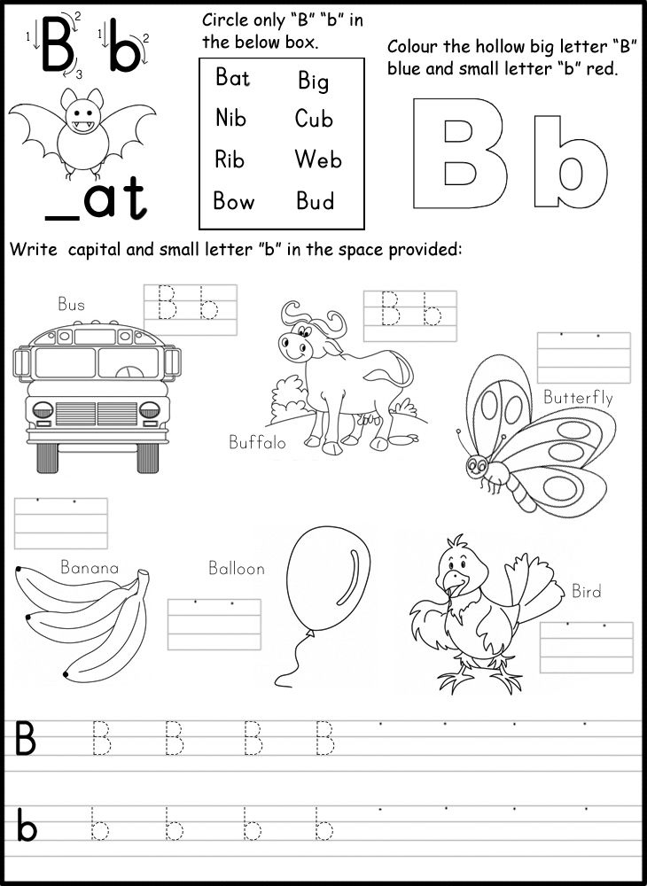 handwriting-worksheets-for-middle-schoolers-handwriting-worksheets
