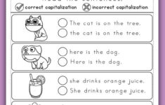 Mark The Correct Sentence Capitalization Worksheets Capitalization