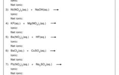 Net Ionic Equation Worksheets Chemistry Learner