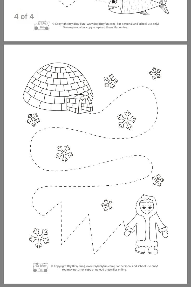 Pin By Adam Fromm On Artic Animals Tracing Worksheets School Fun