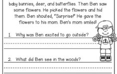 Reading Comprehension What Do You Think Worksheets 99Worksheets